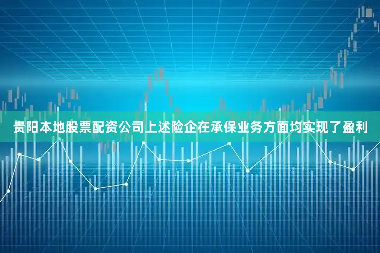 贵阳本地股票配资公司上述险企在承保业务方面均实现了盈利
