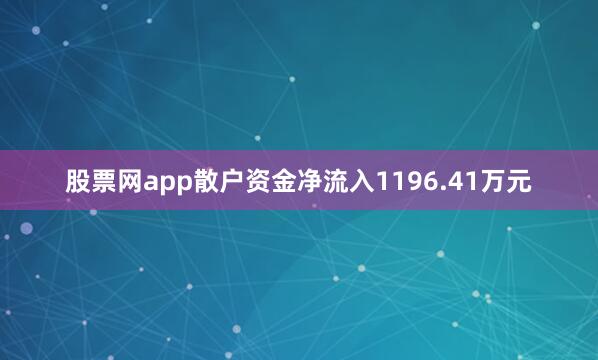 股票网app散户资金净流入1196.41万元
