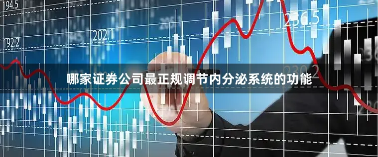 哪家证券公司最正规调节内分泌系统的功能
