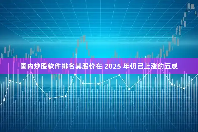国内炒股软件排名其股价在 2025 年仍已上涨约五成