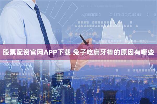股票配资官网APP下载 兔子吃磨牙棒的原因有哪些