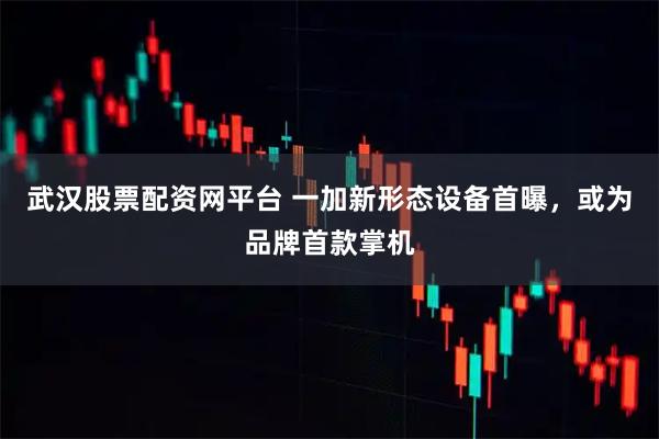武汉股票配资网平台 一加新形态设备首曝，或为品牌首款掌机